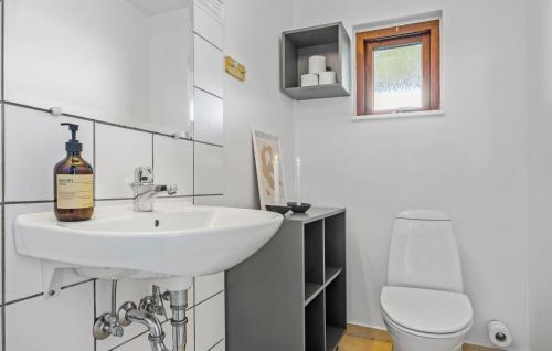 łazienka z białą umywalką i toaletą w obiekcie Lovely Home In Egernsund With Kitchen w mieście Egernsund