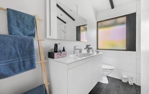 ein weißes Bad mit einem Waschbecken und einem WC in der Unterkunft 3 Bedroom Gorgeous Home In Vejby in Vejby