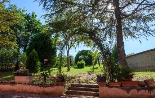 a garden with trees and stairs in a yard at Nice Home In Bellante With Kitchen in Bellante