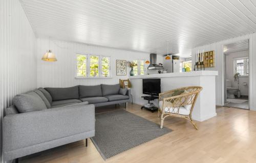 a living room with a couch and a television at Gorgeous Home In Glesborg With Wifi in Glesborg