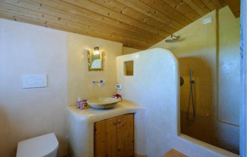 La salle de bains est pourvue d'un lavabo, de toilettes et d'une douche. dans l'établissement Gorgeous Home In Terre Roveresche With Wifi, à San Giorgio di Pesaro
