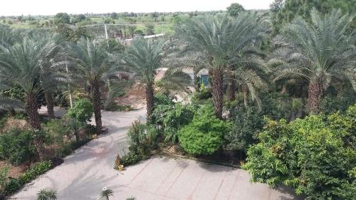 einen Blick über eine Straße mit Palmen in der Unterkunft Palms view hotel in Faisalabad