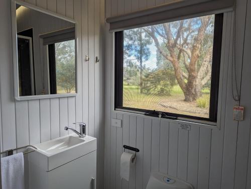 uma casa de banho com um lavatório e uma janela em Tiny House 16A at Grampians Edge em Dadswells Bridge