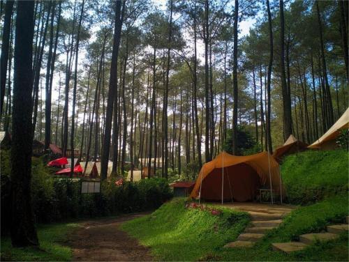 an orange tent in the middle of a forest at Be Glamping Lembang in Lembang