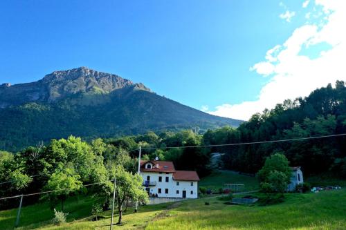 a house in a field with a mountain in the background at Fastuc B&B in Ponte nellʼAlpi