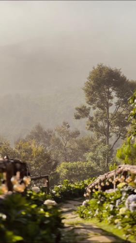 Galería fotográfica de THỎ NON GARDEN CLOUDY OCEAN VIEW en Blao Srê