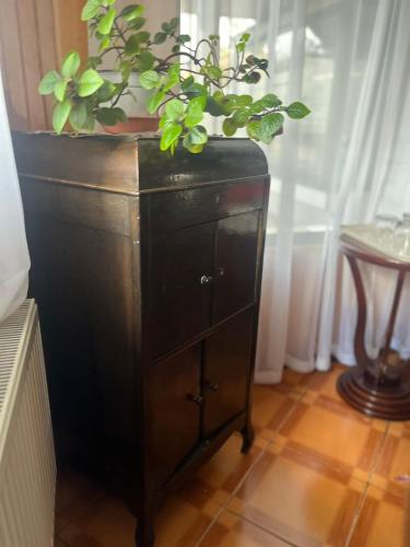 a wooden cabinet with a potted plant on top of it at Hostal Español Coyhaique in Coihaique
