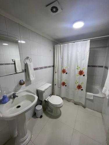 a bathroom with a toilet and a sink and a shower at Hostal Español Coyhaique in Coihaique