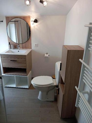 une salle de bain avec toilettes, lavabo et miroir dans l'établissement L'évidence 2 à 4 personnes, à La Jaudonnière