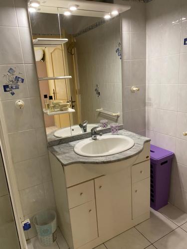 y baño con lavabo y espejo. en Le concorde T2 au cœur du Grand Carré hypercentre proche CHU, en Saint-Denis