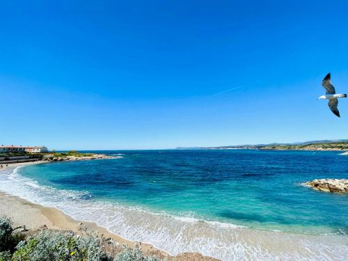 Galeriebild der Unterkunft Petite endroit splendide. in Six-Fours-les-Plages