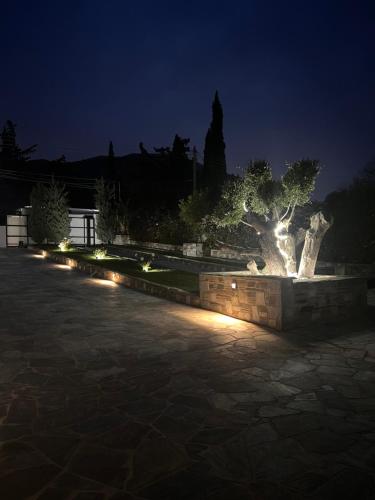 a garden at night with a tree and lights at One Bedroom Pool House by Olivujoj in Anavissos