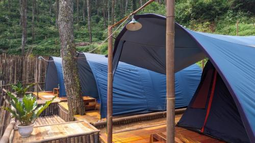 une tente bleue sur une terrasse avec des arbres en arrière-plan dans l'établissement wulandari reverside camping ground pinus singkur, à Bandung