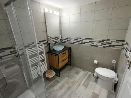 ein Bad mit einem WC, einem Waschbecken und einer Dusche in der Unterkunft 6 personnes / Proche Disney et aéroport CDG in Annet-sur-Marne