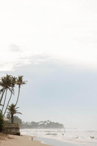 a beach with palm trees and the ocean at Harding Boutique Hotel in Ahangama