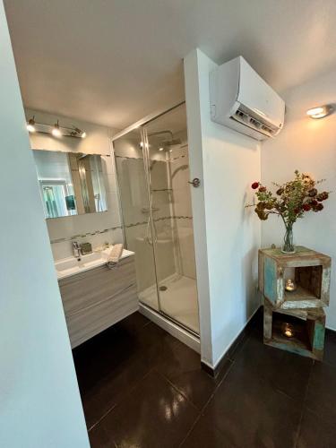 une salle de bain avec douche et lavabo dans l'établissement La vie en rose, à Coti-Chiavari