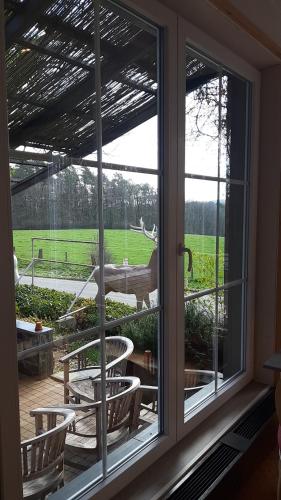 Gallery image of Maison des Ardennes in Maissin