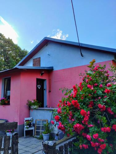 Štempel Karol , Bělá pod Pradědem, Domašov 412