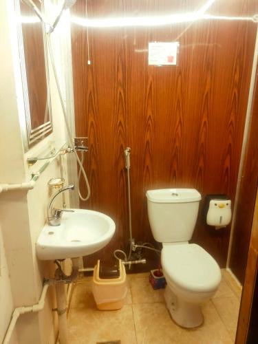 a bathroom with a toilet and a sink at Youth Palace Hostel هوستل قصر الشباب in Alexandria