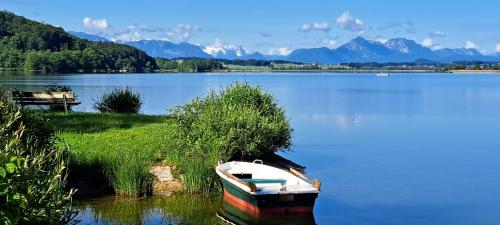 a boat sitting on the shore of a lake at Ferienwohnung Wallersee in Neumarkt am Wallersee