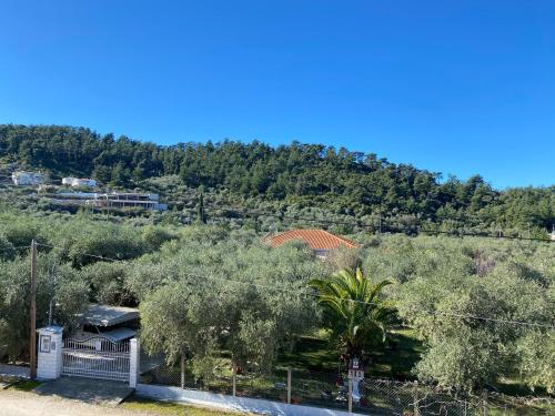 Blick auf einen Hügel mit Bäumen und ein Haus in der Unterkunft Luminous Luxury Apartments in Limenas