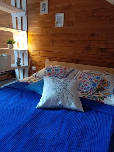 two beds in a room with blue sheets and pillows at Rodzinny zakątek "U Głuszków" Bieszczady in Myczkowce