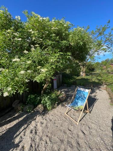 Ein Garten an der Unterkunft Projekt Przełazy 1