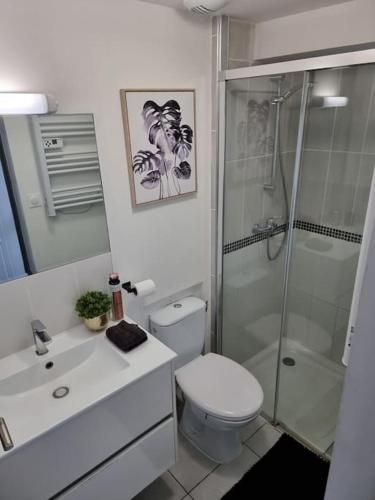 une salle de bain avec toilettes et douche en verre dans l'établissement Maison aux portes de Tours, à Saint-Pierre-des-Corps