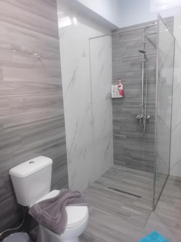 ein Badezimmer mit Toilette und Glasdusche in der Unterkunft casaeudokia in Apóllona