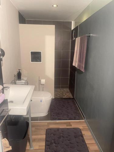 a bathroom with a tub and a sink and a toilet at Modernes und behagliches Einliegerapartment, 50 qm-deine Ruheoase- in Trippstadt