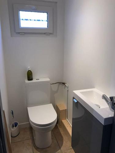 a bathroom with a white toilet and a sink at la maison d'en bas avec belle piscine in Chailley