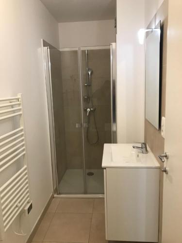une salle de bain avec douche et lavabo dans l'établissement Appartement bord de mer T4 marina di bravonne N5-6, à Linguizzetta