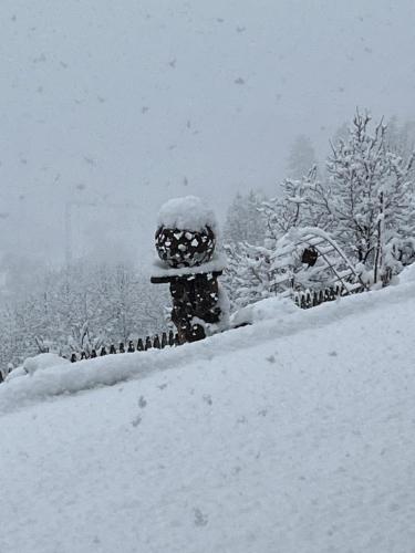 Residence Burghof durante el invierno