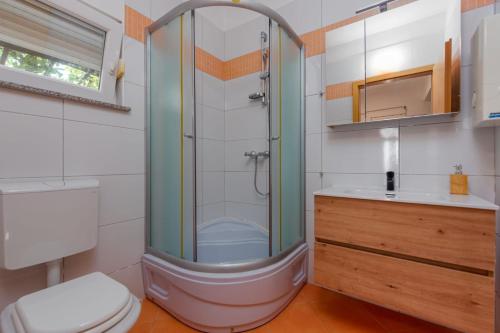 a bathroom with a shower and a toilet and a sink at Kuća za odmor Dora in Benkovac