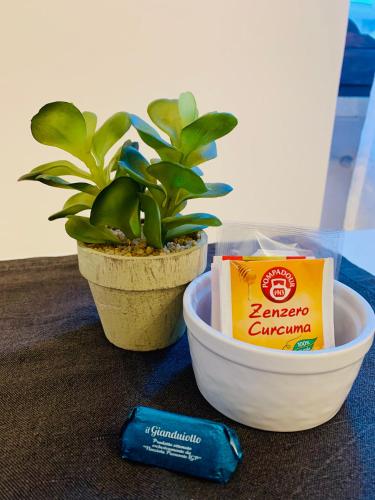 a plant in a bowl next to a box of energy drink at La Lum in Varallo