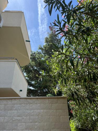 Gallery image of Apartments Luaniva 50m from the see in Novalja