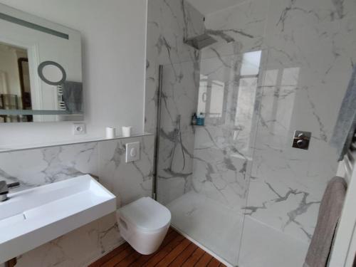 une salle de bain avec une douche, un lavabo et des toilettes dans l'établissement Logement familial hyper centre, à Nancy