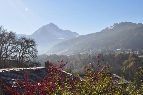 Charmant studio, plein sud, sport et relax