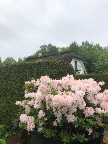 Lundtoftegaardにある庭