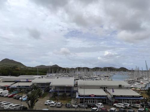 un puerto deportivo con un montón de barcos en un puerto en Résidence de la Baie : Superbe appartement en Le Marin
