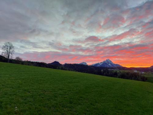 a green field with a sunset in the background at Chalet Troadkasten Biohof Kreilgut in Walchegg