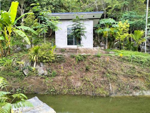uma pequena casa numa colina ao lado de um corpo de água em บ้านเล็กในป่าใหญ่โฮมสเตย์ กงหรา พัทลุง 
