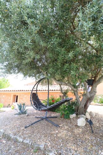 Κήπος έξω από το Gîte de charme avec Piscine dans le Luberon au Domaine Artemiss