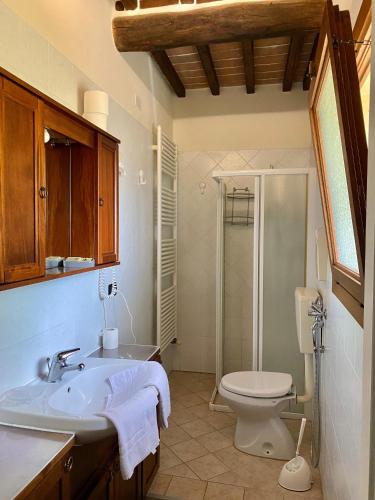 a bathroom with a sink and a toilet at Agriturismo La Sorgente di Rossi Valentino in Larciano