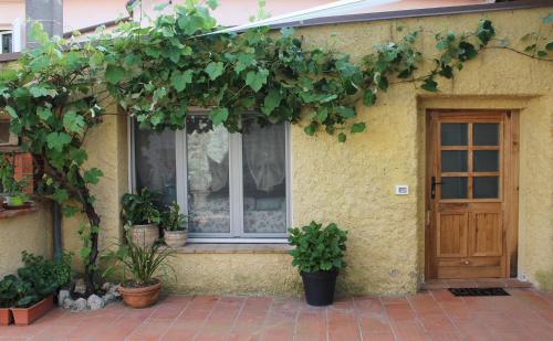 La casina di mezzo - Tiny House