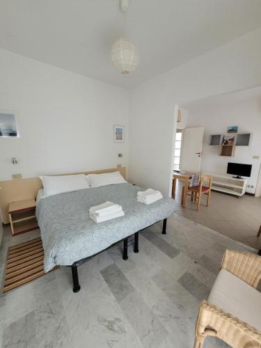um quarto com uma cama e uma sala de estar em Affittacamere La Zattera em Lido di Camaiore