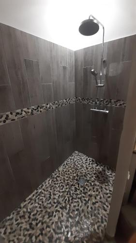 La salle de bains est pourvue d'une douche et d'un sol en pierre. dans l'établissement Gite Bussière, à Courthézon