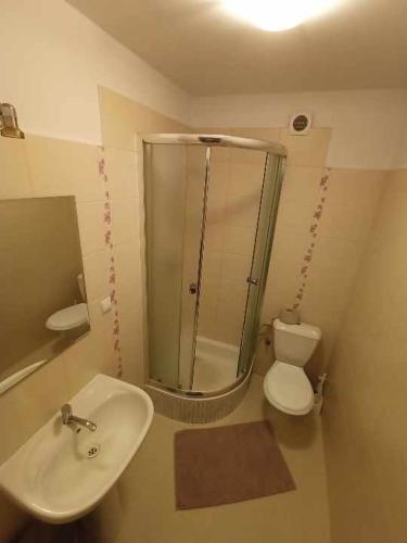 a bathroom with a sink and a toilet and a mirror at Pokoje Augustowskie in Augustów