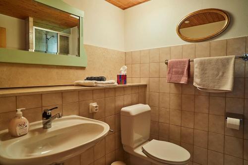 a bathroom with a sink and a toilet and a mirror at Wild Valley Secluded Apartment 1, Valle Onsernone in Loco