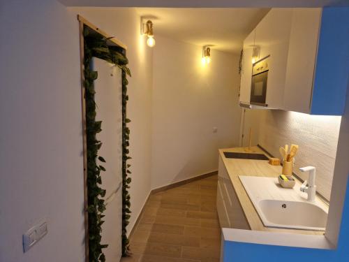 un bagno con lavandino e una pianta sul muro di Apartment inside the wave studio B a Tacoronte